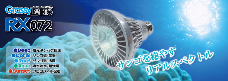 ボルクスジャパン グラッシーレディオrs073 Koukyuuhin Shijou 魚用品 水草 Watanegypt Tv