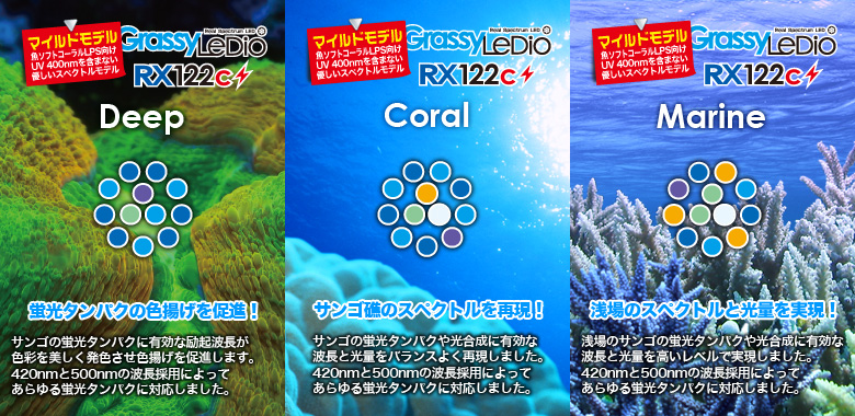 ボルクスジャパン ｇｒａｓｓｙ ｌｅｄｉｏ ｒｘ１２２ｃ ディープ 沖縄別途送料 ｄｅｅｐ 関東当日便