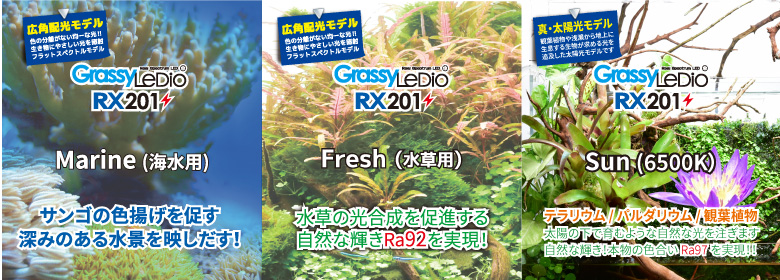 値下げボルクスジャパン　RX201 水草　観葉植物用