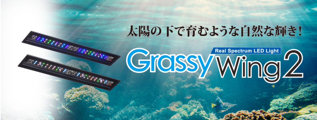 Grassy Wing2 / グラッシー・ウィング2　ボルクスジャパン　珊瑚照明