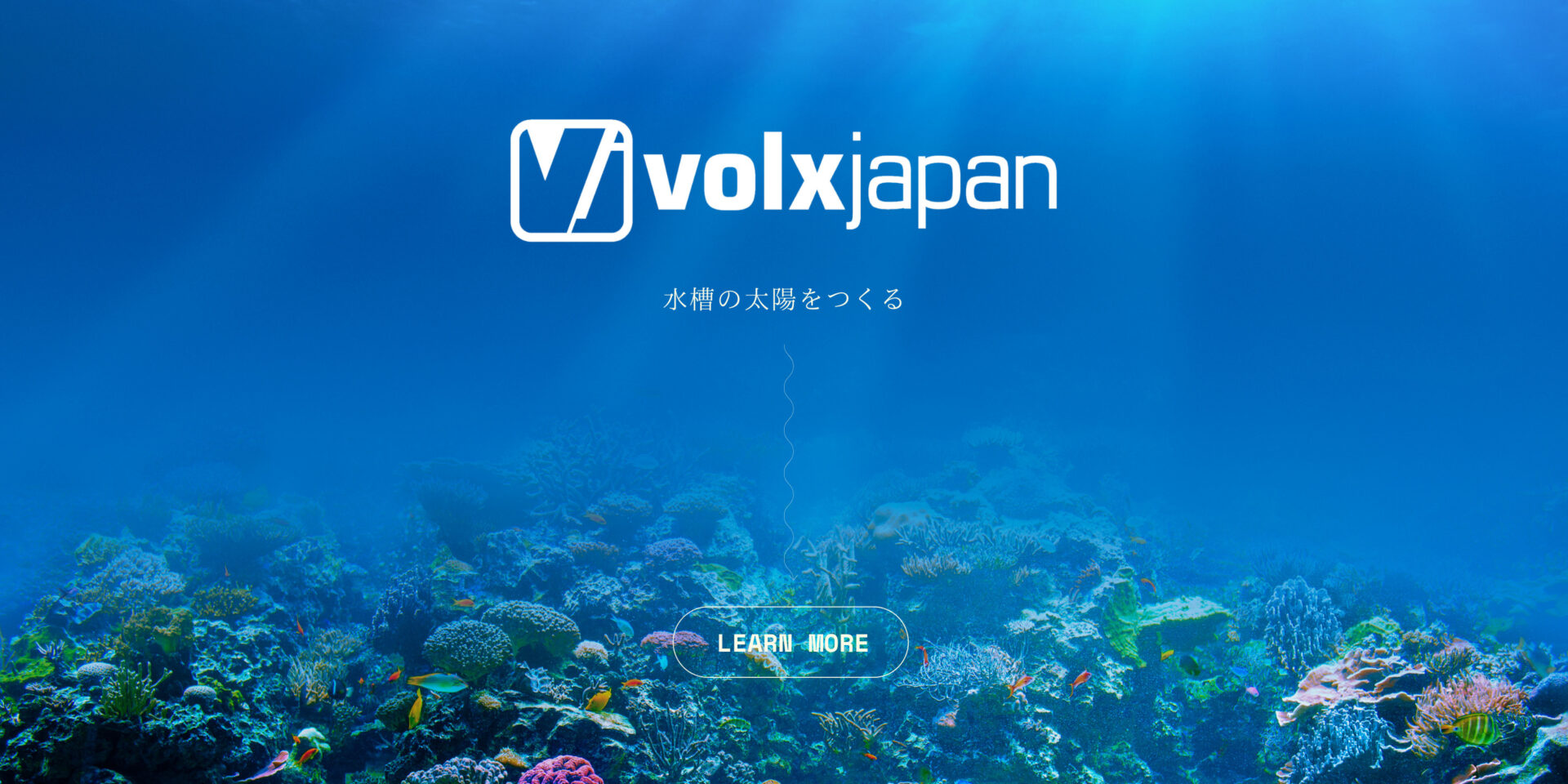 ポッキリ価格セール サンゴ　照明　ボルクスジャパン　グラッシーレディオRX122DP　２か月使用 魚用品/水草