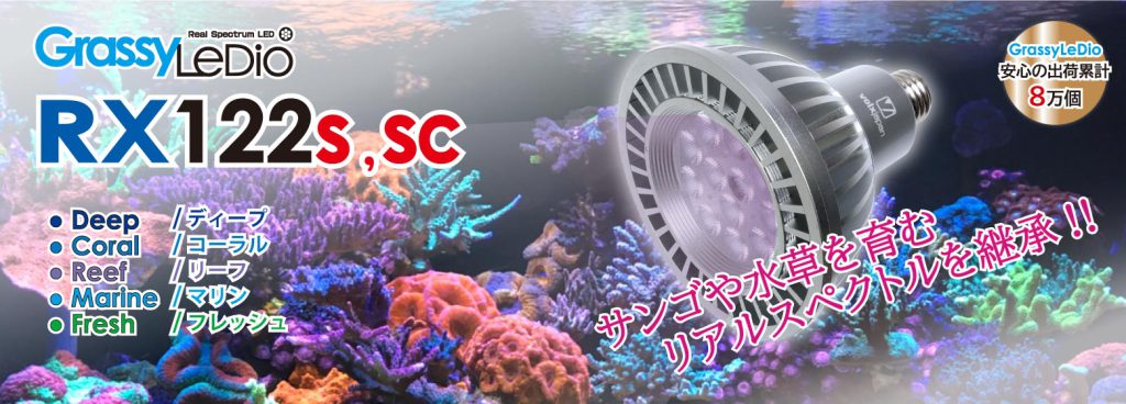 海水魚ボルクスジャパン　グラッシーレディオRX122 Reef　2個