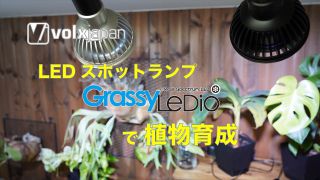 ボルクスジャパン – LED黎明期からサンゴ・水草育成用LEDライトの研究