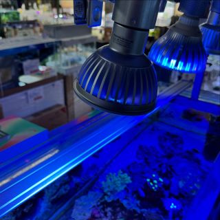 ボルクスジャパン – LED黎明期からサンゴ・水草育成用LEDライトの研究 