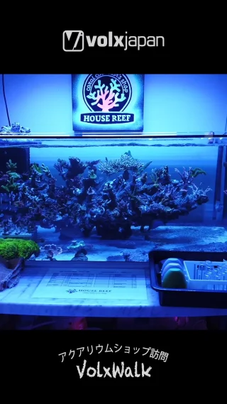 ボルクスジャパン – LED黎明期からサンゴ・水草育成用LEDライト