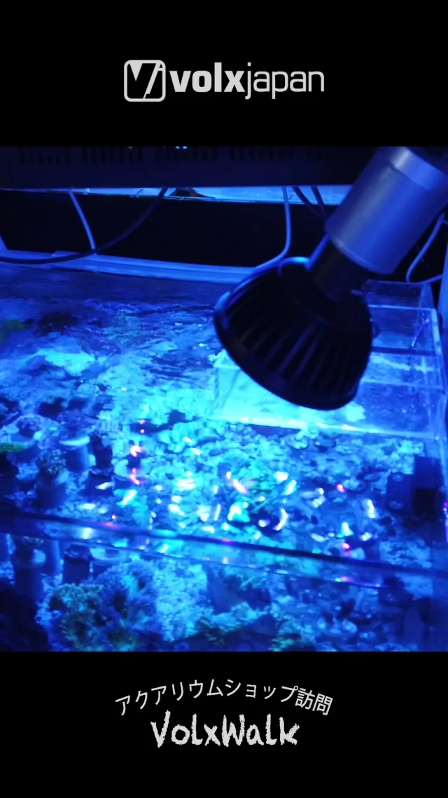 ボルクスジャパン – LED黎明期からサンゴ・水草育成用LEDライト