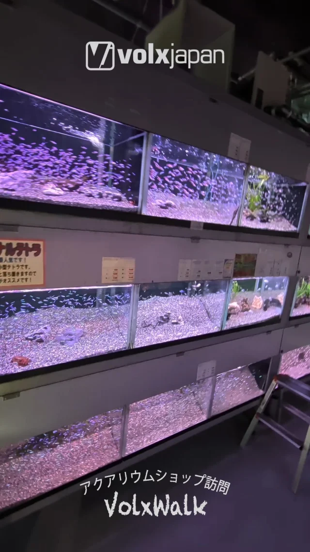 ボルクスジャパン – LED黎明期からサンゴ・水草育成用LEDライトの研究